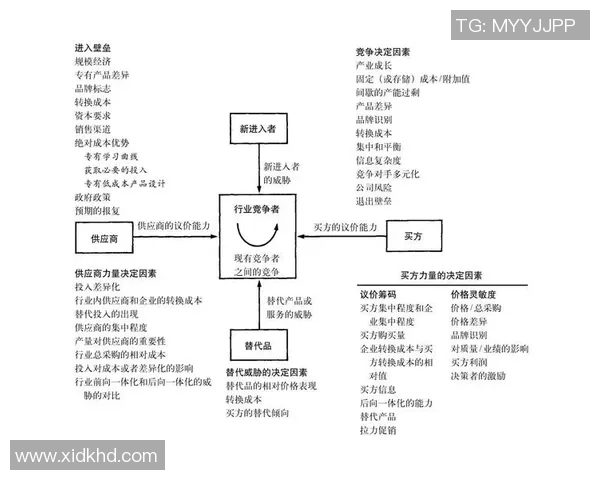 南京网球队实力分析：探寻其在全国网球界的竞争优势与发展潜力